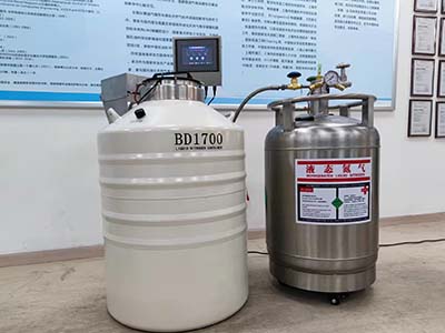 小型气相液氮罐BD1700型-175升